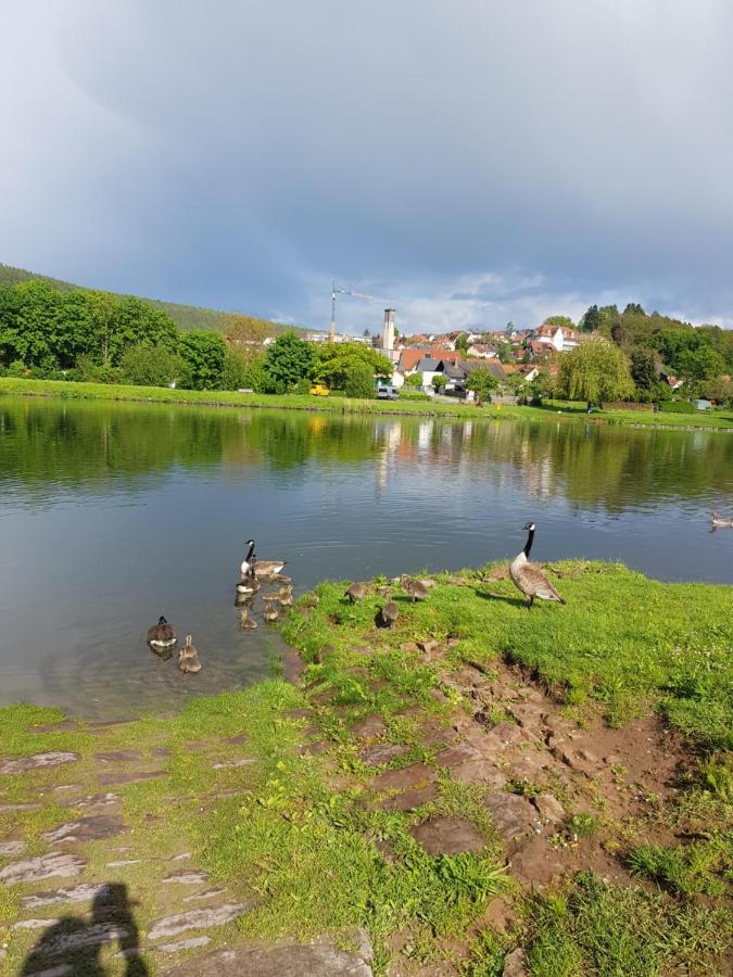 Ferienwohnung Im Springerhof Lohr nad Menem Zewnętrze zdjęcie