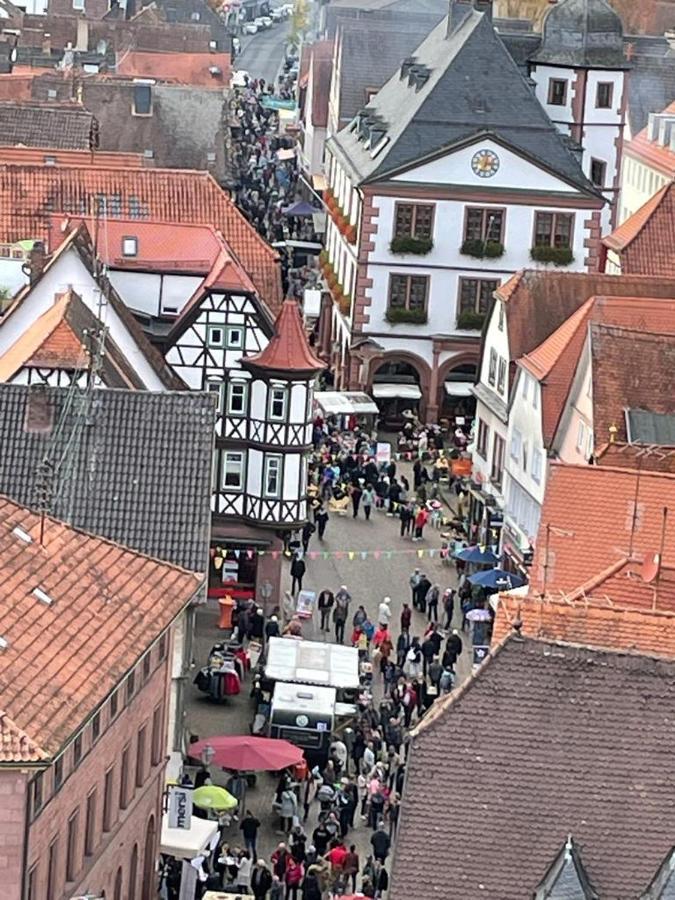 Ferienwohnung Im Springerhof Lohr nad Menem Zewnętrze zdjęcie