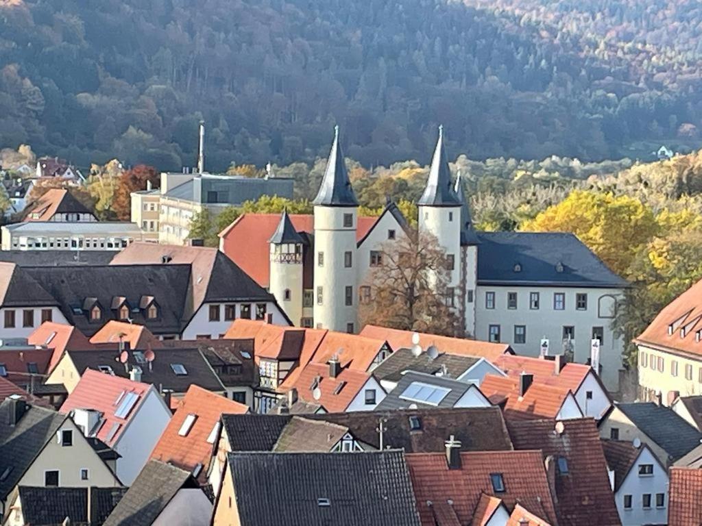 Ferienwohnung Im Springerhof Lohr nad Menem Zewnętrze zdjęcie