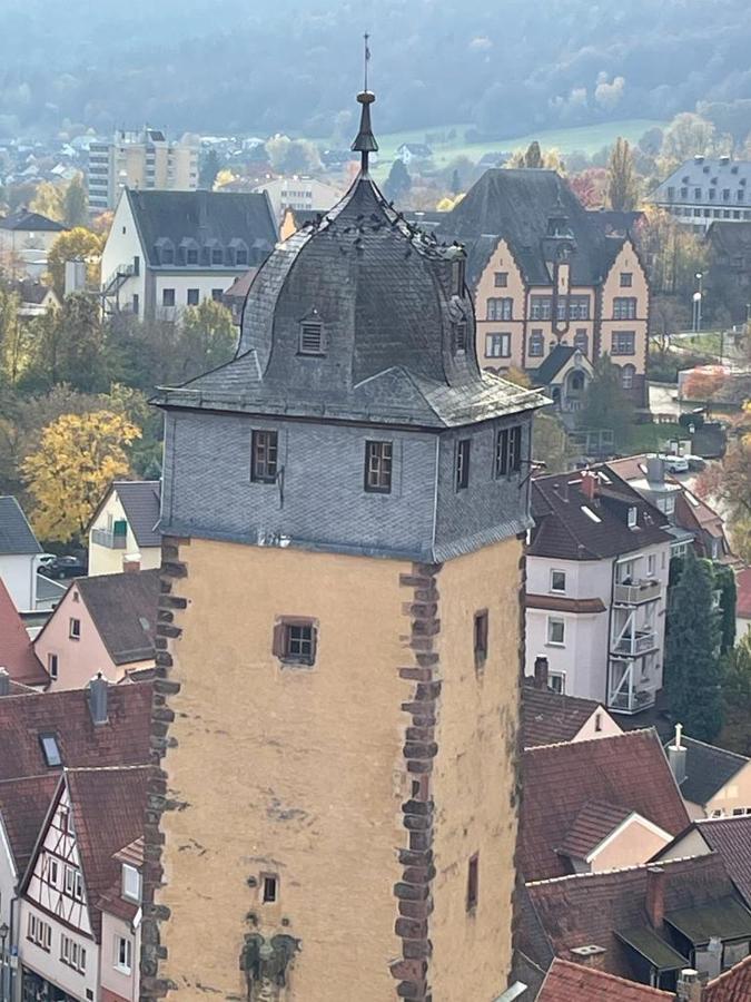 Ferienwohnung Im Springerhof Lohr nad Menem Zewnętrze zdjęcie