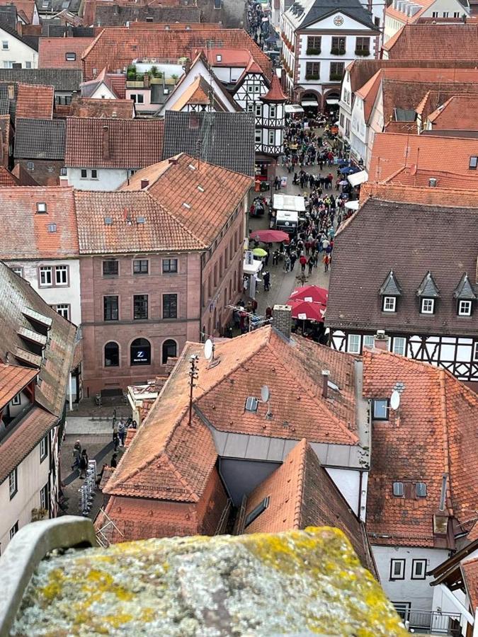 Ferienwohnung Im Springerhof Lohr nad Menem Zewnętrze zdjęcie